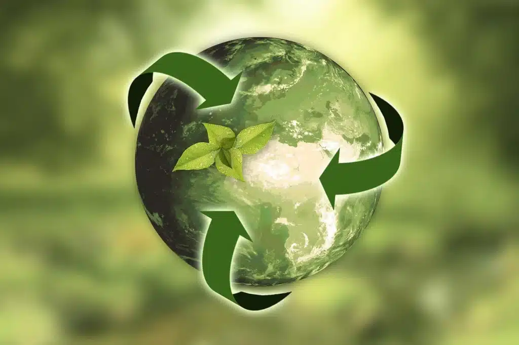 rôle écologique des cafards